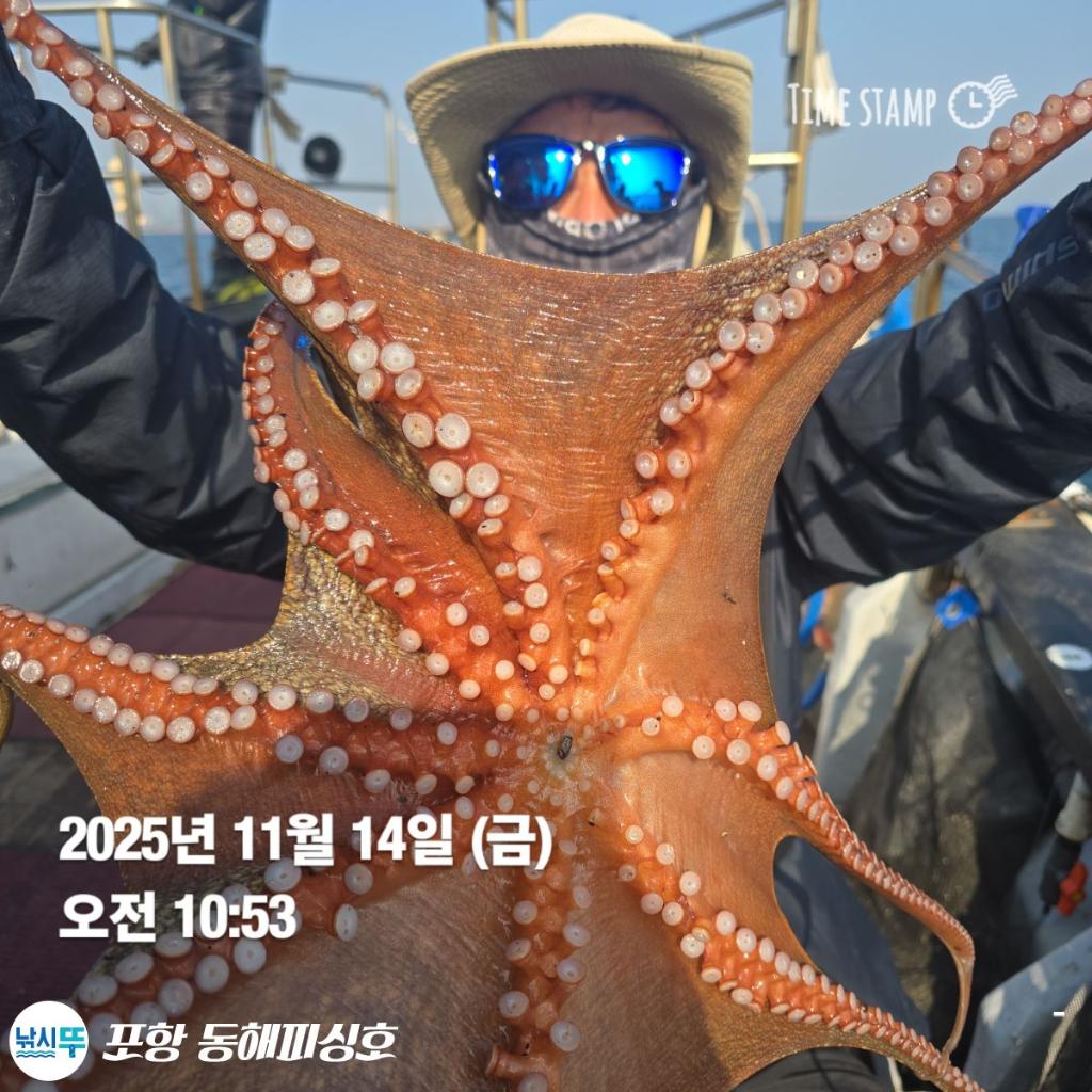 낚시뚜,돌문어,포항(운하관),포항 동해피싱호,낚시뚜3