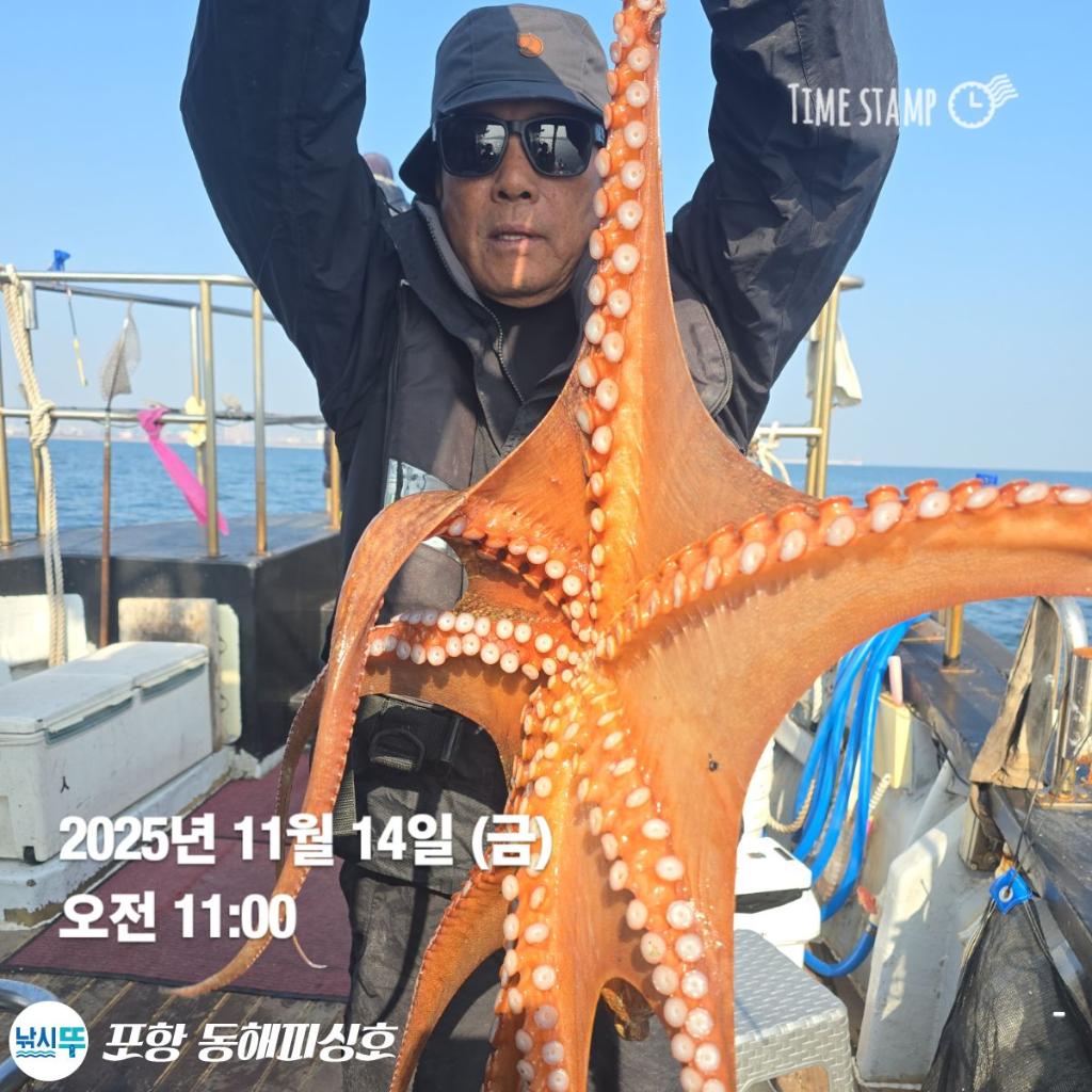 낚시뚜,돌문어,포항(운하관),포항 동해피싱호,낚시뚜2