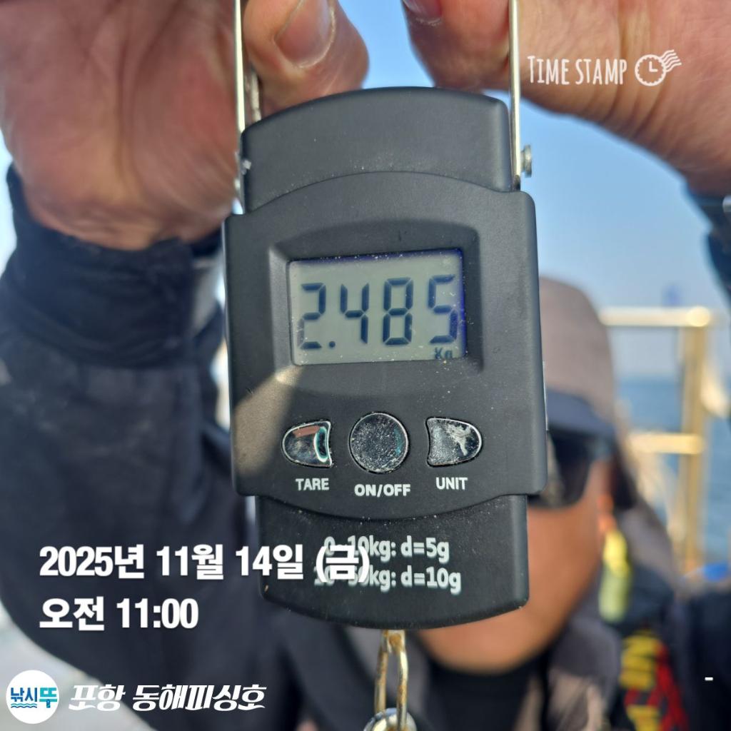 낚시뚜,돌문어,포항(운하관),포항 동해피싱호,낚시뚜1