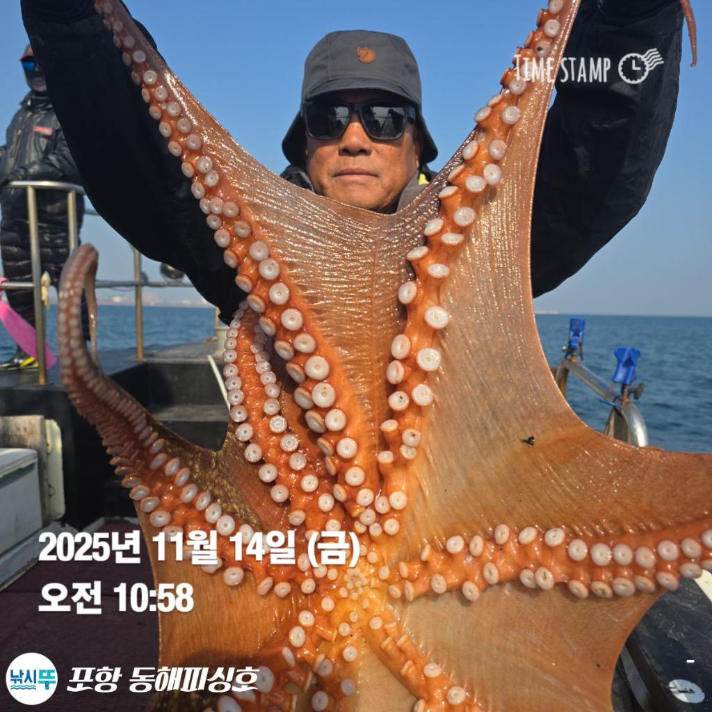 낚시뚜,돌문어,포항(운하관),포항 동해피싱호,낚시뚜0