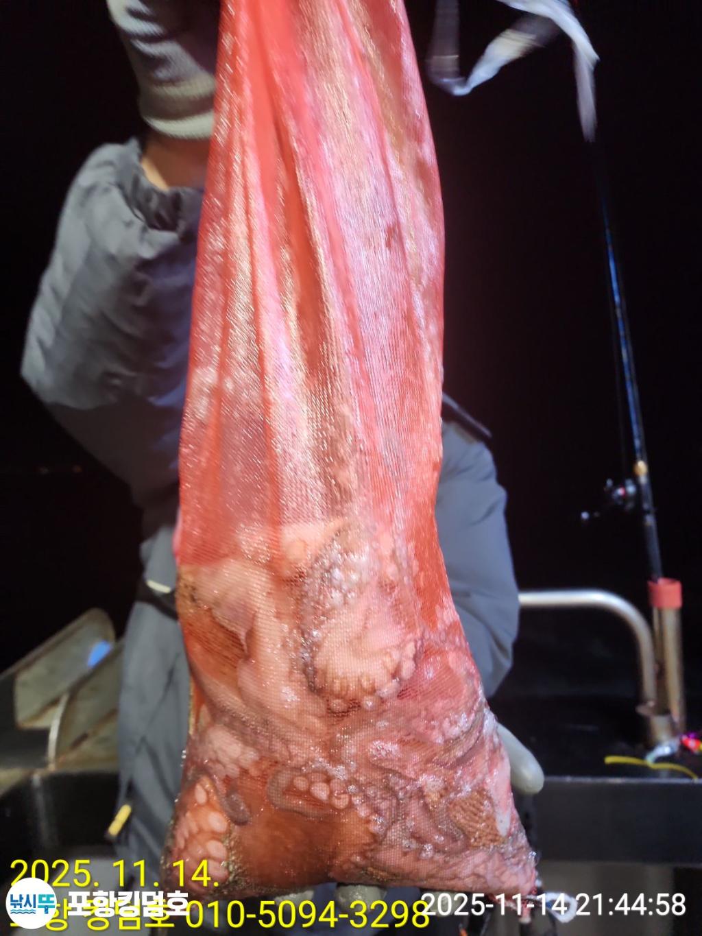 낚시뚜,돌문어,영일만항,포항 킹덤호,낚시뚜18