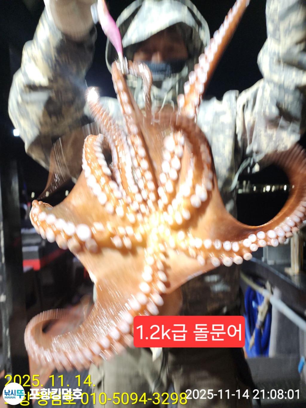낚시뚜,돌문어,영일만항,포항 킹덤호,낚시뚜0