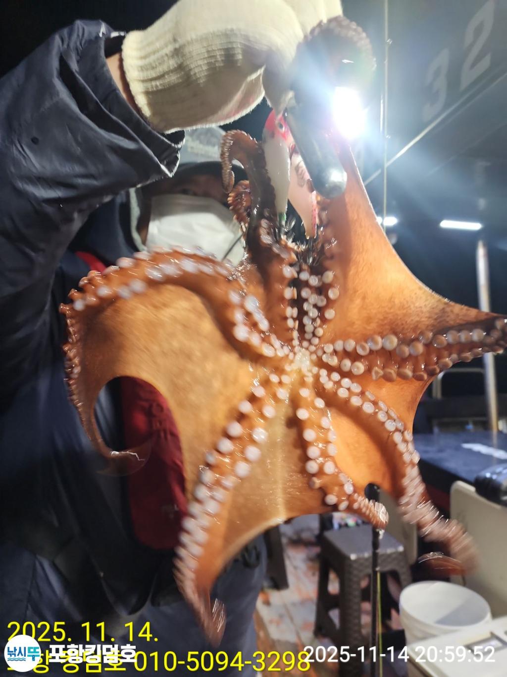 낚시뚜,돌문어,영일만항,포항 킹덤호,낚시뚜11