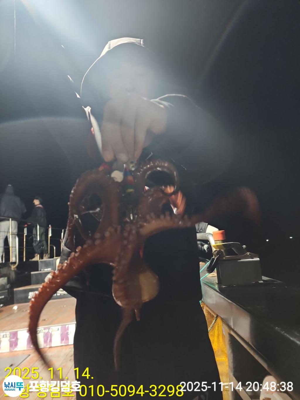 낚시뚜,돌문어,영일만항,포항 킹덤호,낚시뚜10