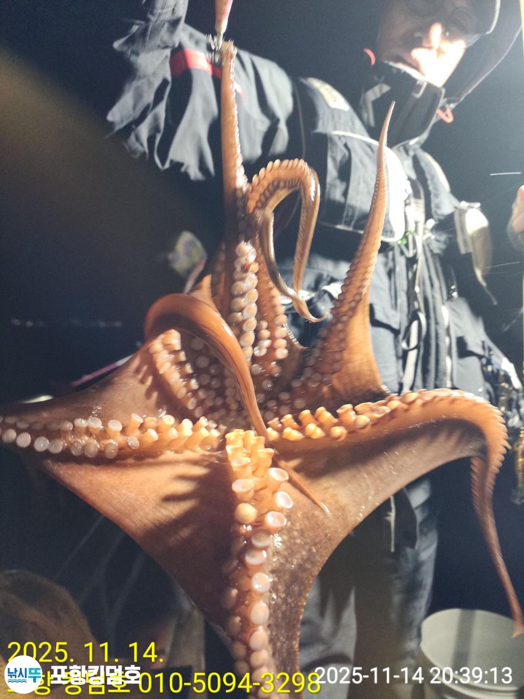 낚시뚜,돌문어,영일만항,포항 킹덤호,낚시뚜8