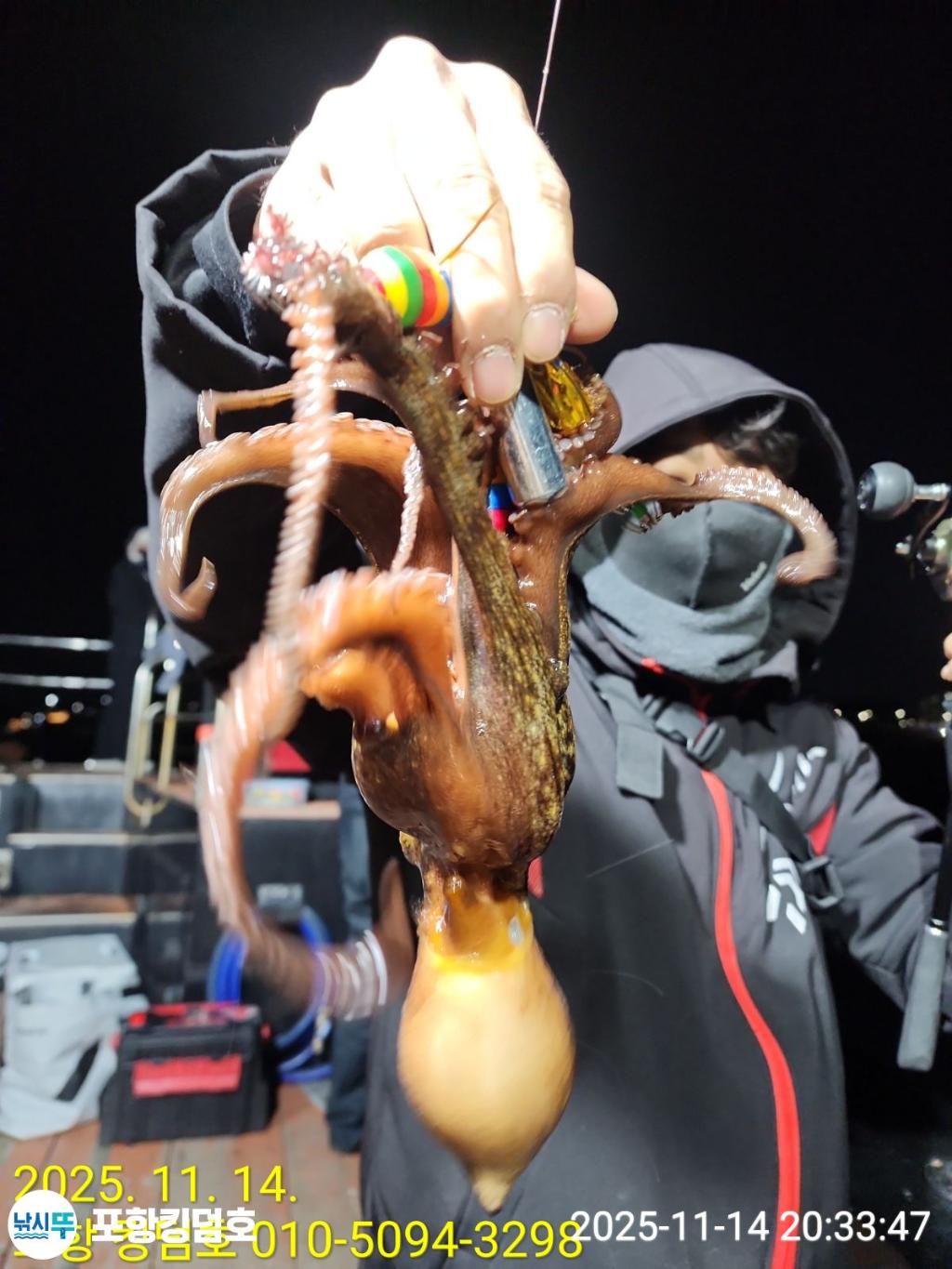 낚시뚜,돌문어,영일만항,포항 킹덤호,낚시뚜7