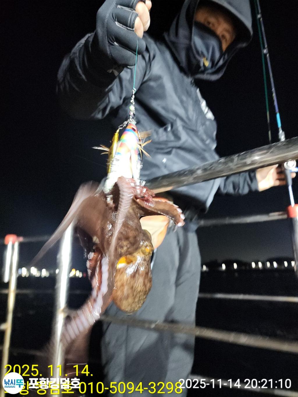 낚시뚜,돌문어,영일만항,포항 킹덤호,낚시뚜3