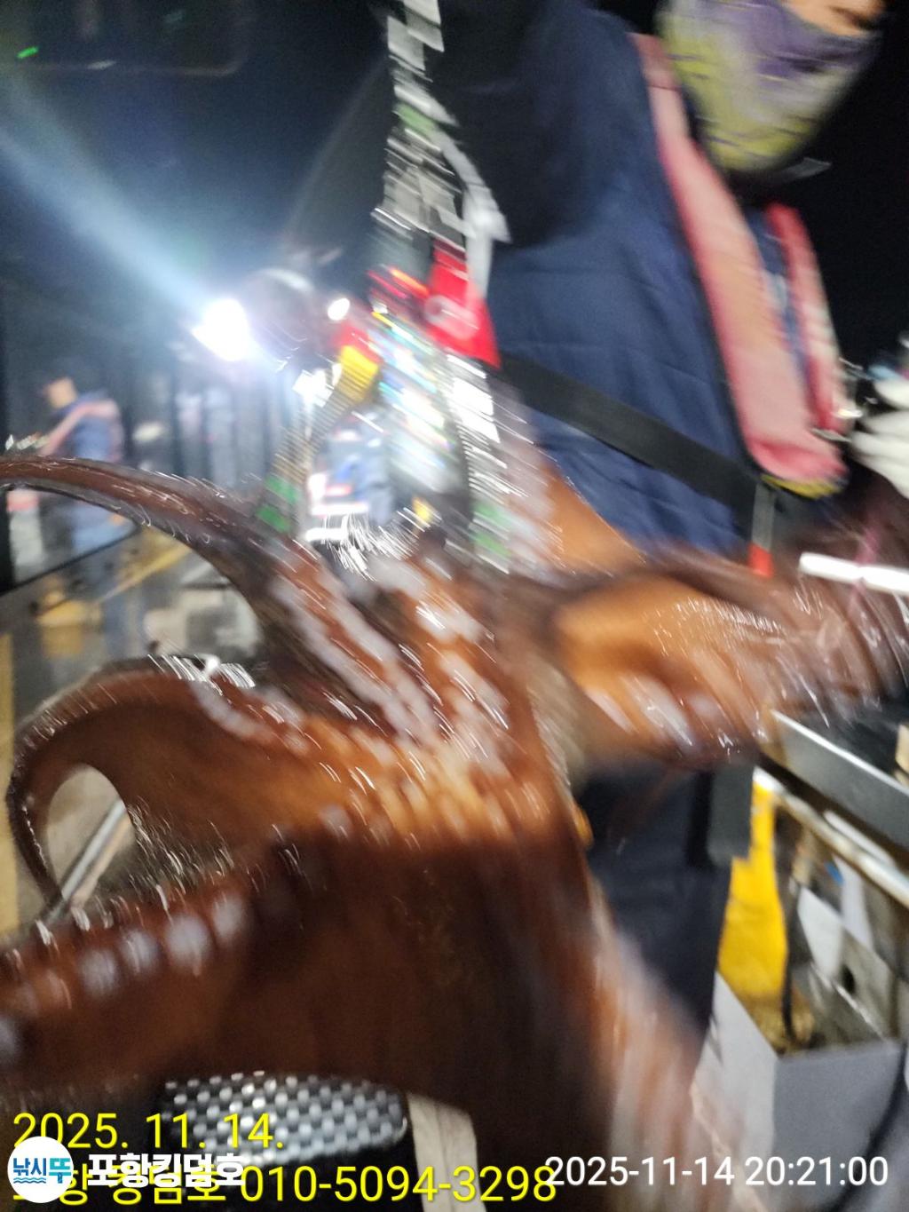 낚시뚜,돌문어,영일만항,포항 킹덤호,낚시뚜6