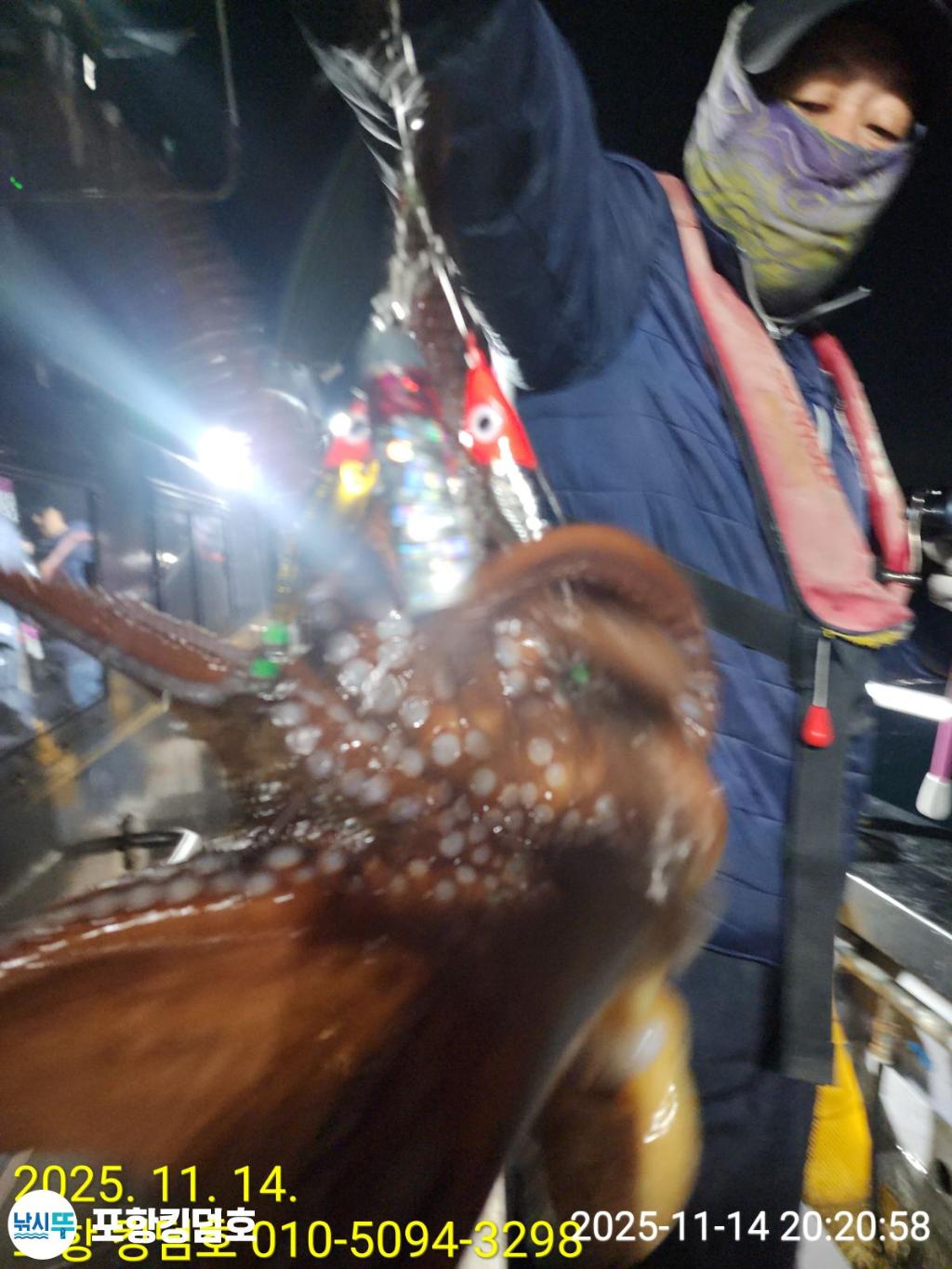 낚시뚜,돌문어,영일만항,포항 킹덤호,낚시뚜2