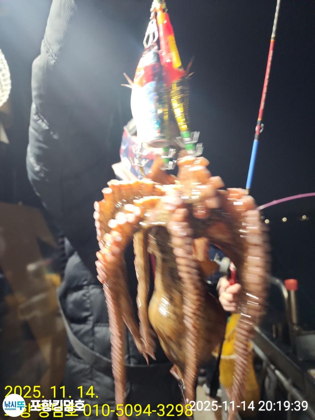 낚시뚜,돌문어,영일만항,포항 킹덤호,낚시뚜1