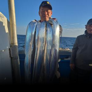 조황, 뉴무지개 왕갈치 씨알급 끝내줍니다