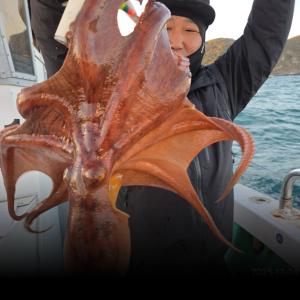 조황, 11월 14일 격포럭키스타 10분문어 대박조황