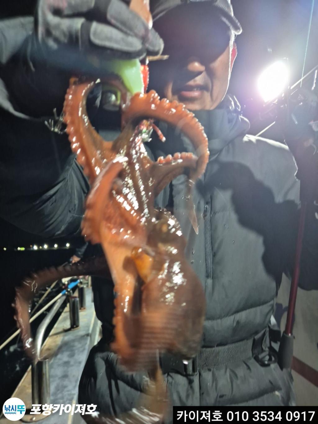 낚시뚜,기타 (직접입력),영일만항,포항카이져호,낚시뚜33