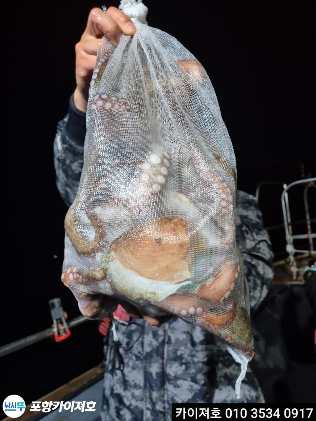 낚시뚜,기타 (직접입력),영일만항,포항카이져호,낚시뚜6