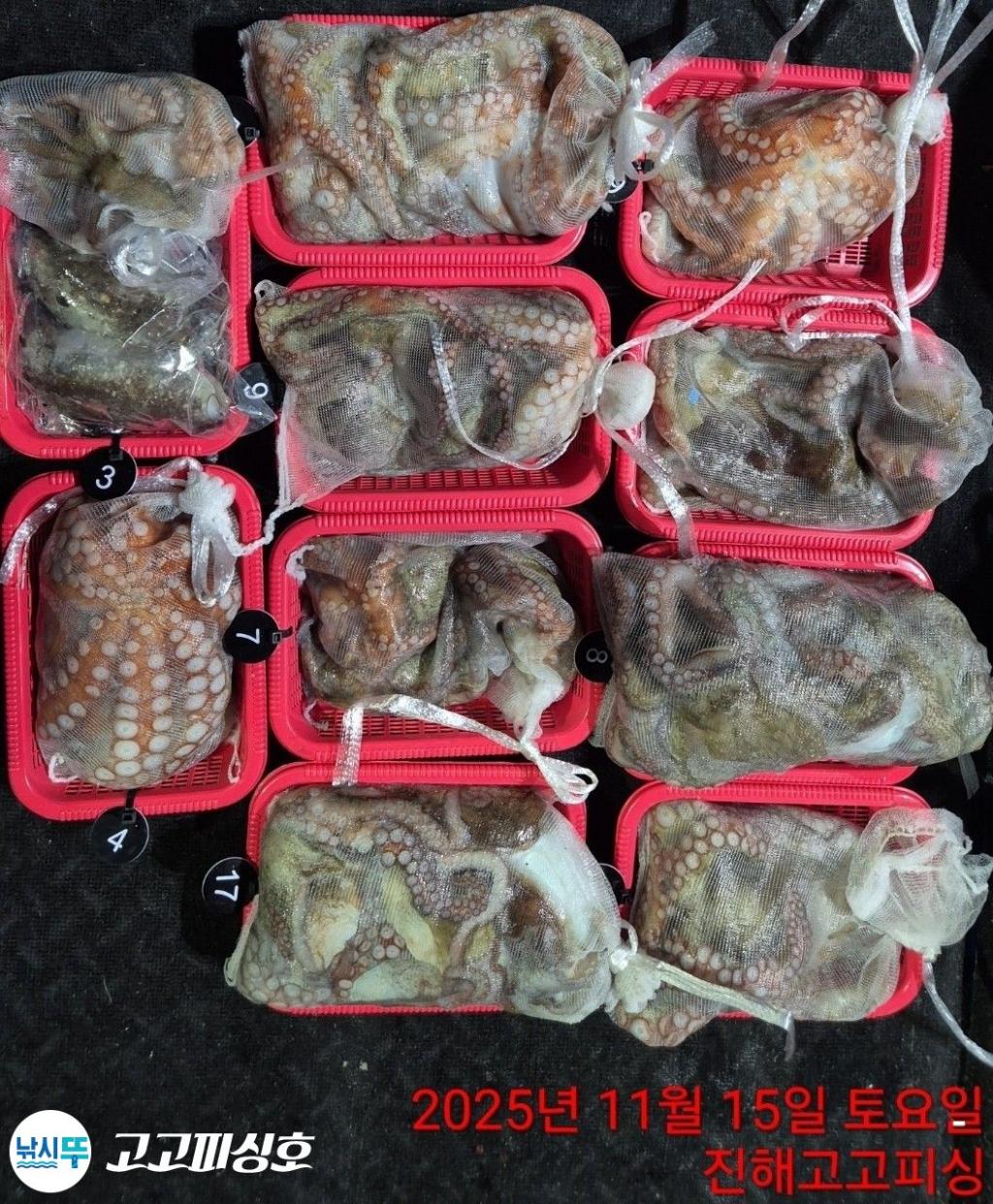 낚시뚜,낙지.문어,속천항(진해),고고피싱호,낚시뚜13