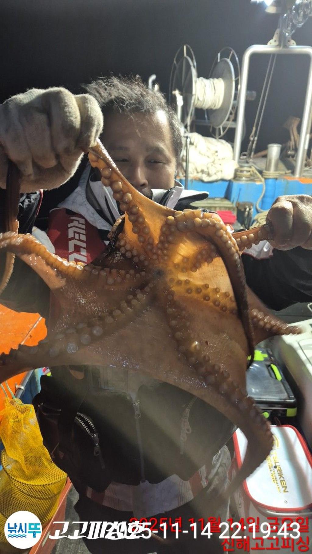 낚시뚜,낙지.문어,속천항(진해),고고피싱호,낚시뚜9