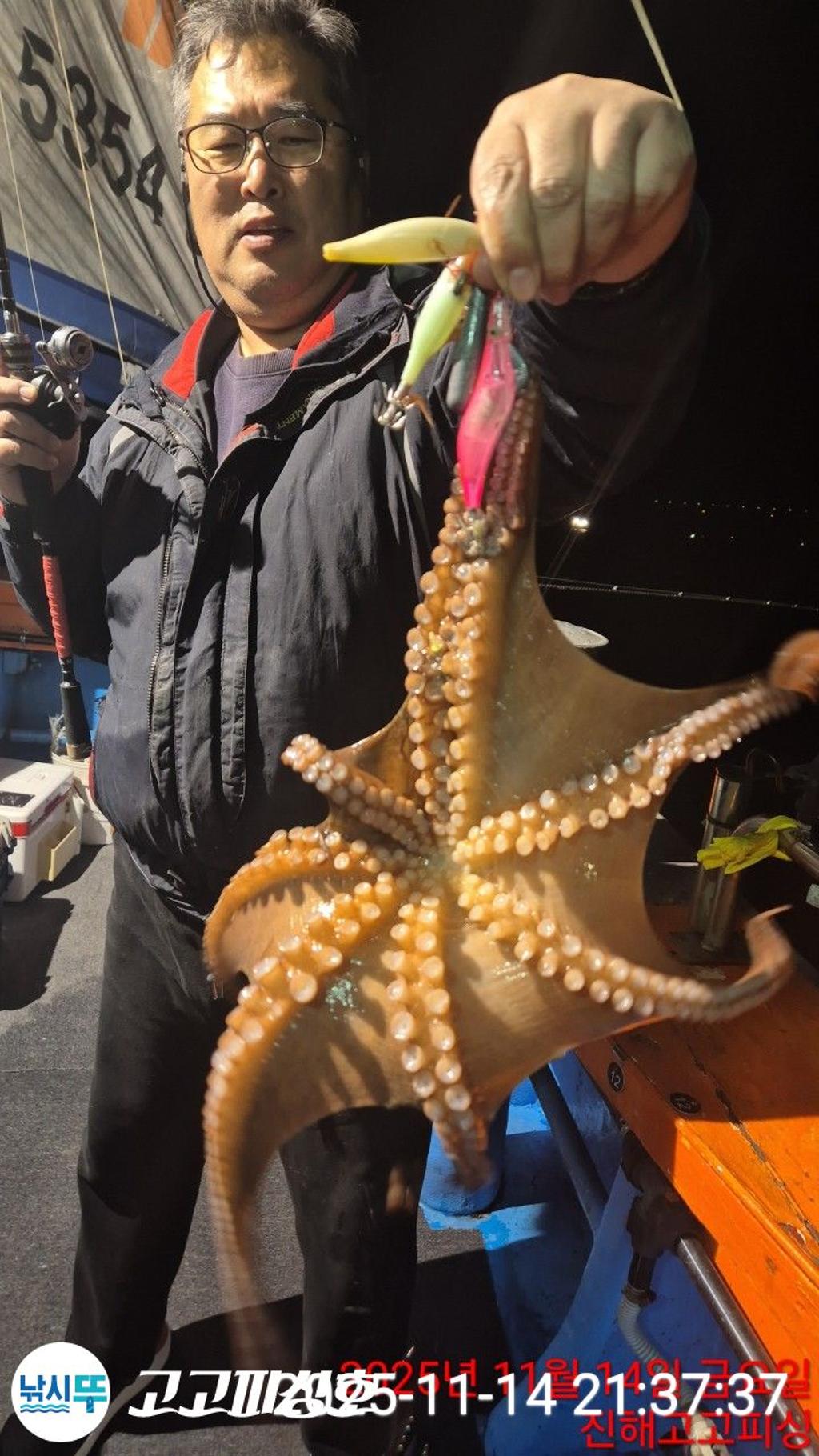 낚시뚜,낙지.문어,속천항(진해),고고피싱호,낚시뚜8