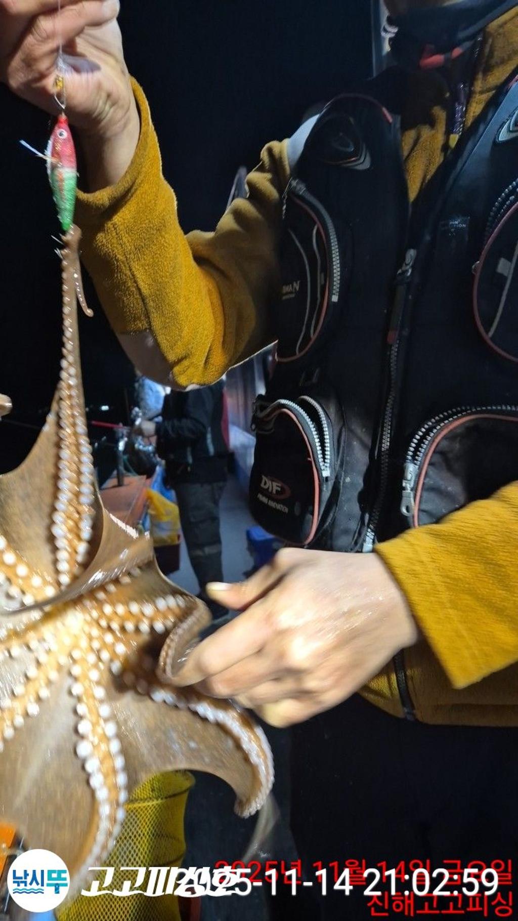 낚시뚜,낙지.문어,속천항(진해),고고피싱호,낚시뚜7