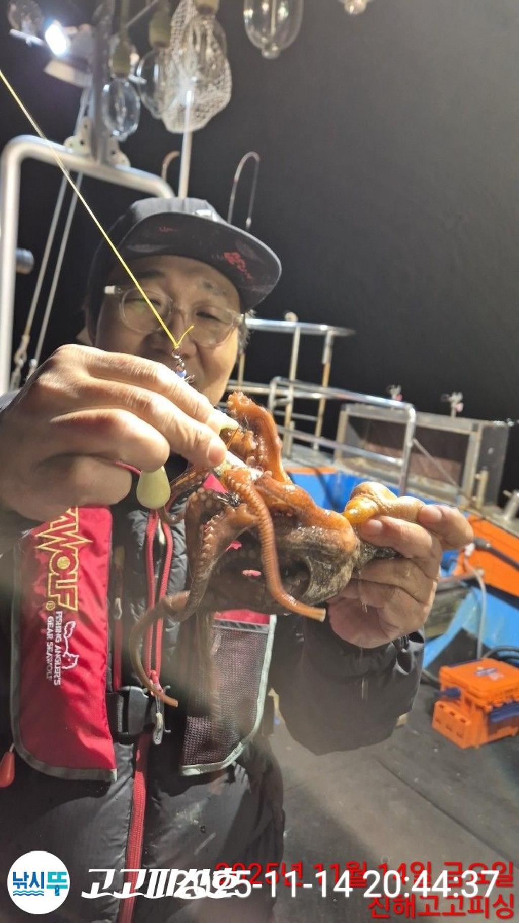 낚시뚜,낙지.문어,속천항(진해),고고피싱호,낚시뚜5