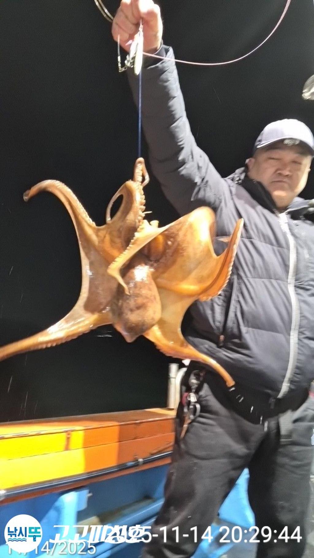 낚시뚜,낙지.문어,속천항(진해),고고피싱호,낚시뚜1