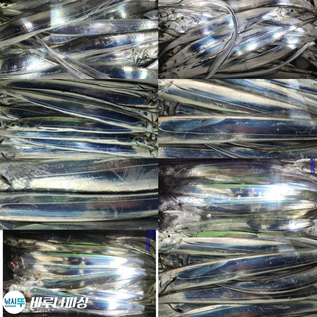 낚시뚜,갈치,속천항(진해),바루나피싱,낚시뚜0