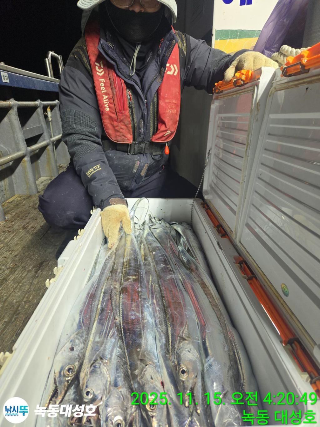 낚시뚜,갈치,녹동항,녹동대성호,낚시뚜31