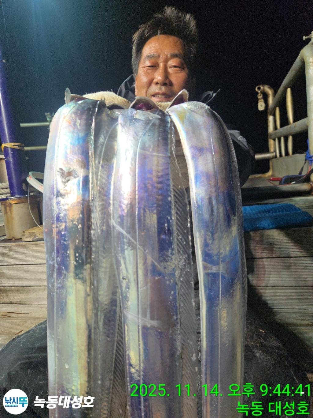 낚시뚜,갈치,녹동항,녹동대성호,낚시뚜26