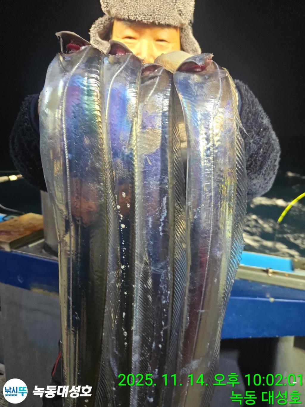 낚시뚜,갈치,녹동항,녹동대성호,낚시뚜23