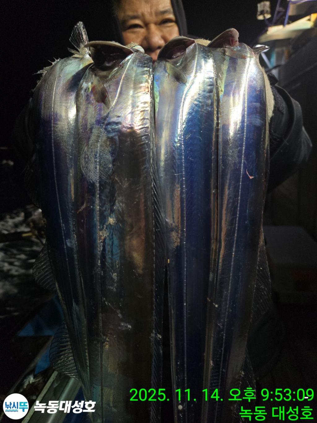 낚시뚜,갈치,녹동항,녹동대성호,낚시뚜22