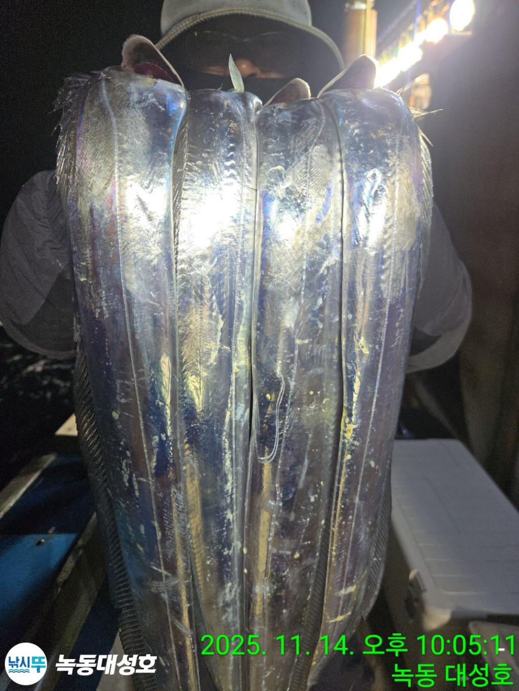 낚시뚜,갈치,녹동항,녹동대성호,낚시뚜20