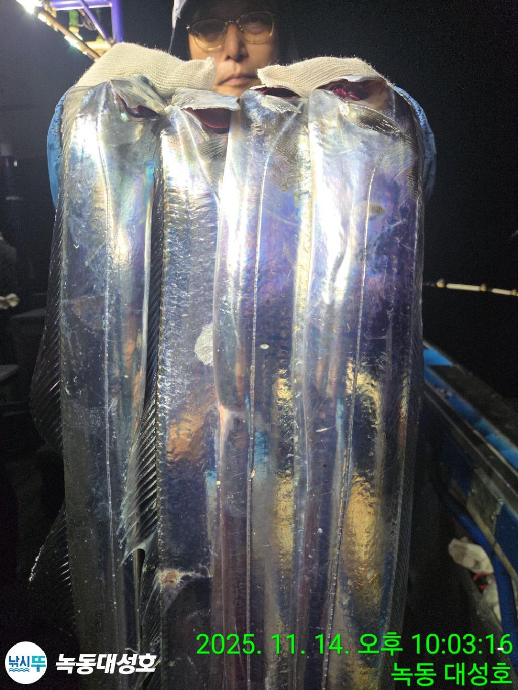 낚시뚜,갈치,녹동항,녹동대성호,낚시뚜19