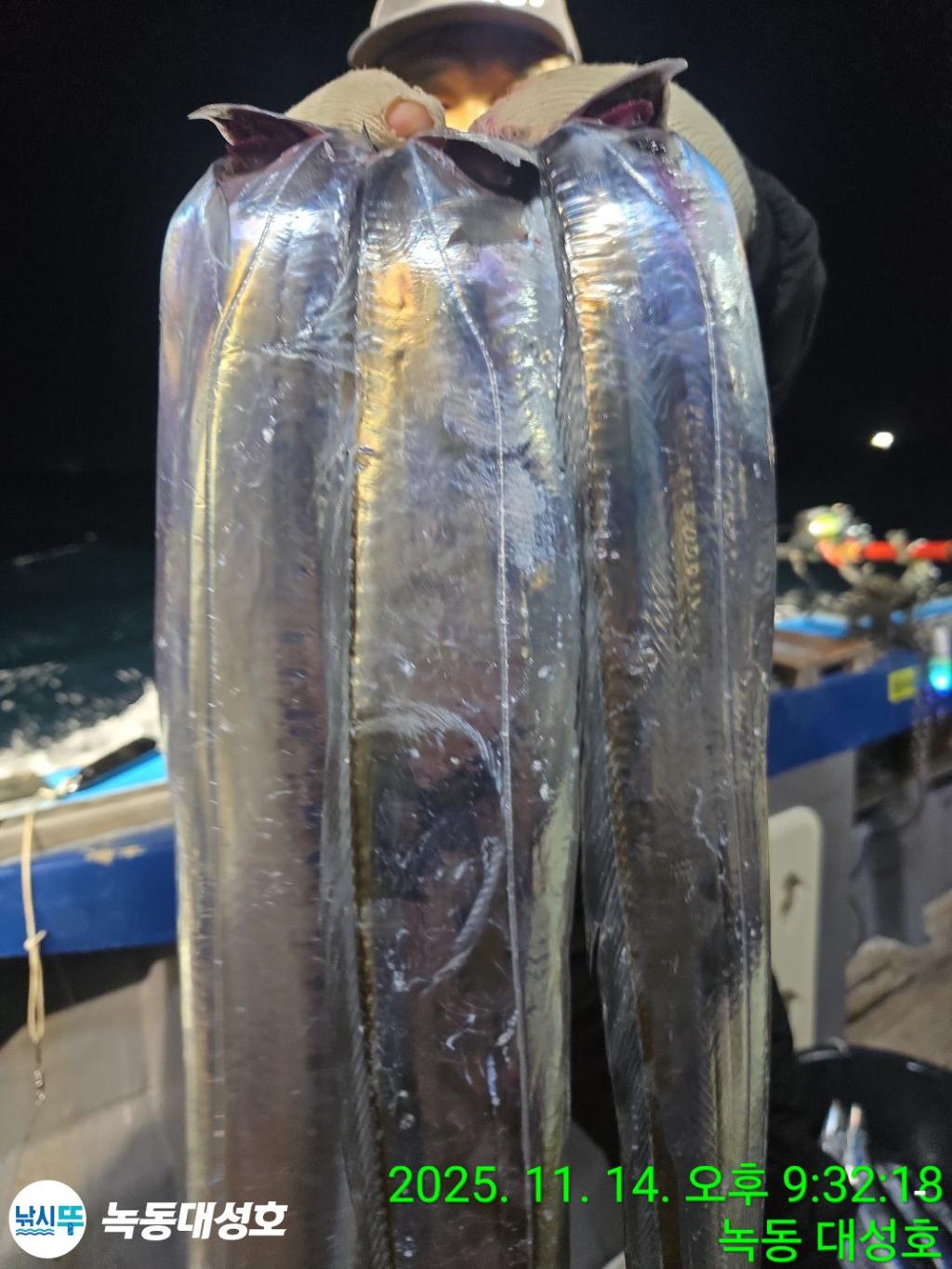 낚시뚜,갈치,녹동항,녹동대성호,낚시뚜17