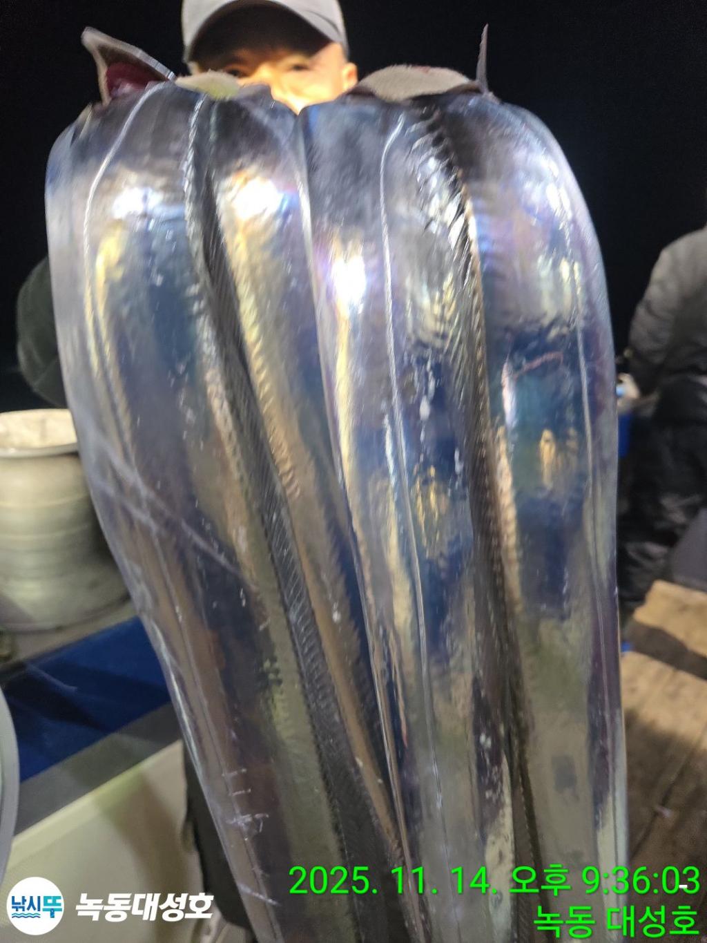 낚시뚜,갈치,녹동항,녹동대성호,낚시뚜16