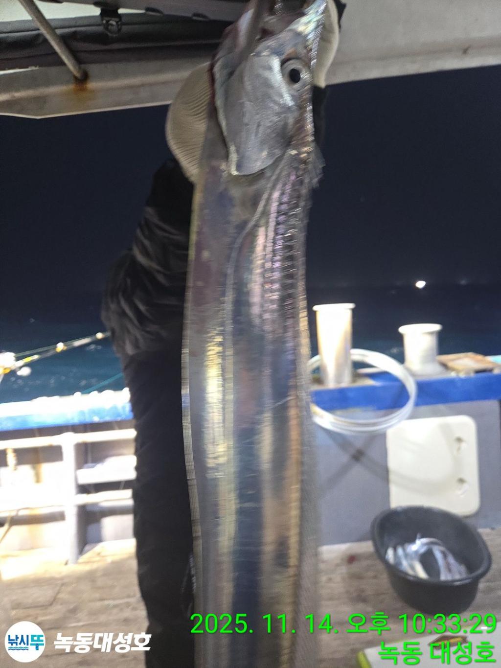 낚시뚜,갈치,녹동항,녹동대성호,낚시뚜8