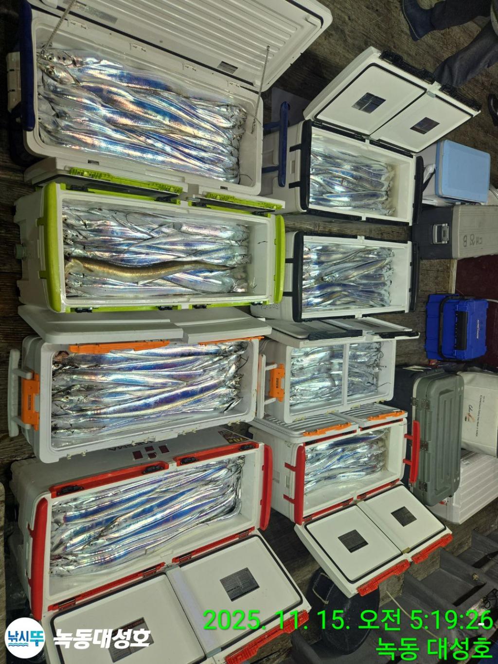 낚시뚜,갈치,녹동항,녹동대성호,낚시뚜3