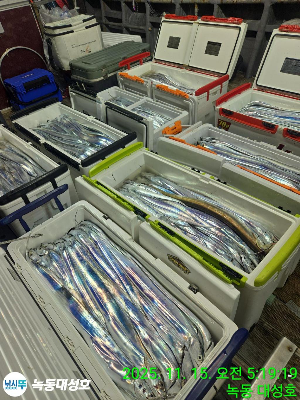 낚시뚜,갈치,녹동항,녹동대성호,낚시뚜2