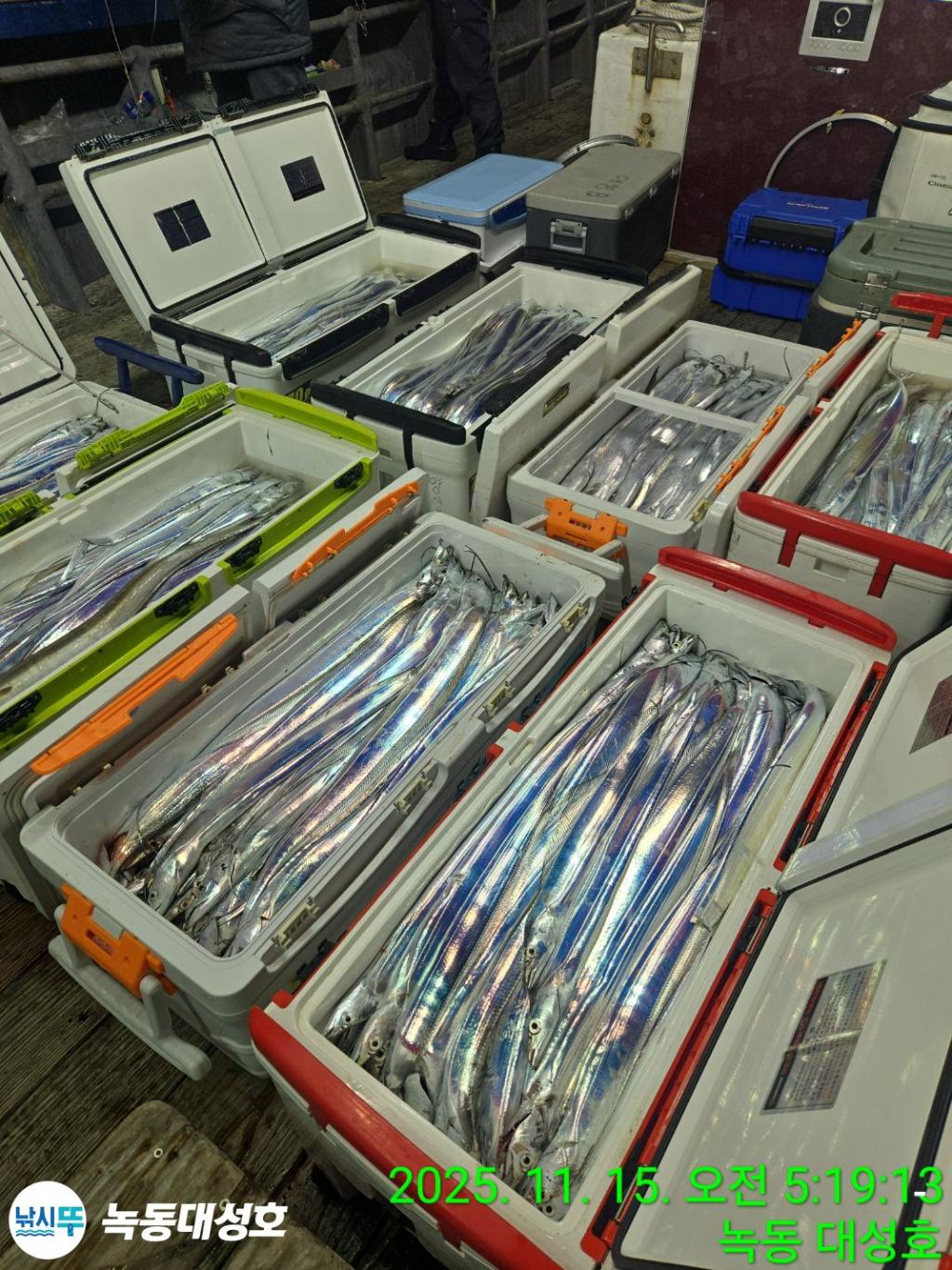 낚시뚜,갈치,녹동항,녹동대성호,낚시뚜1