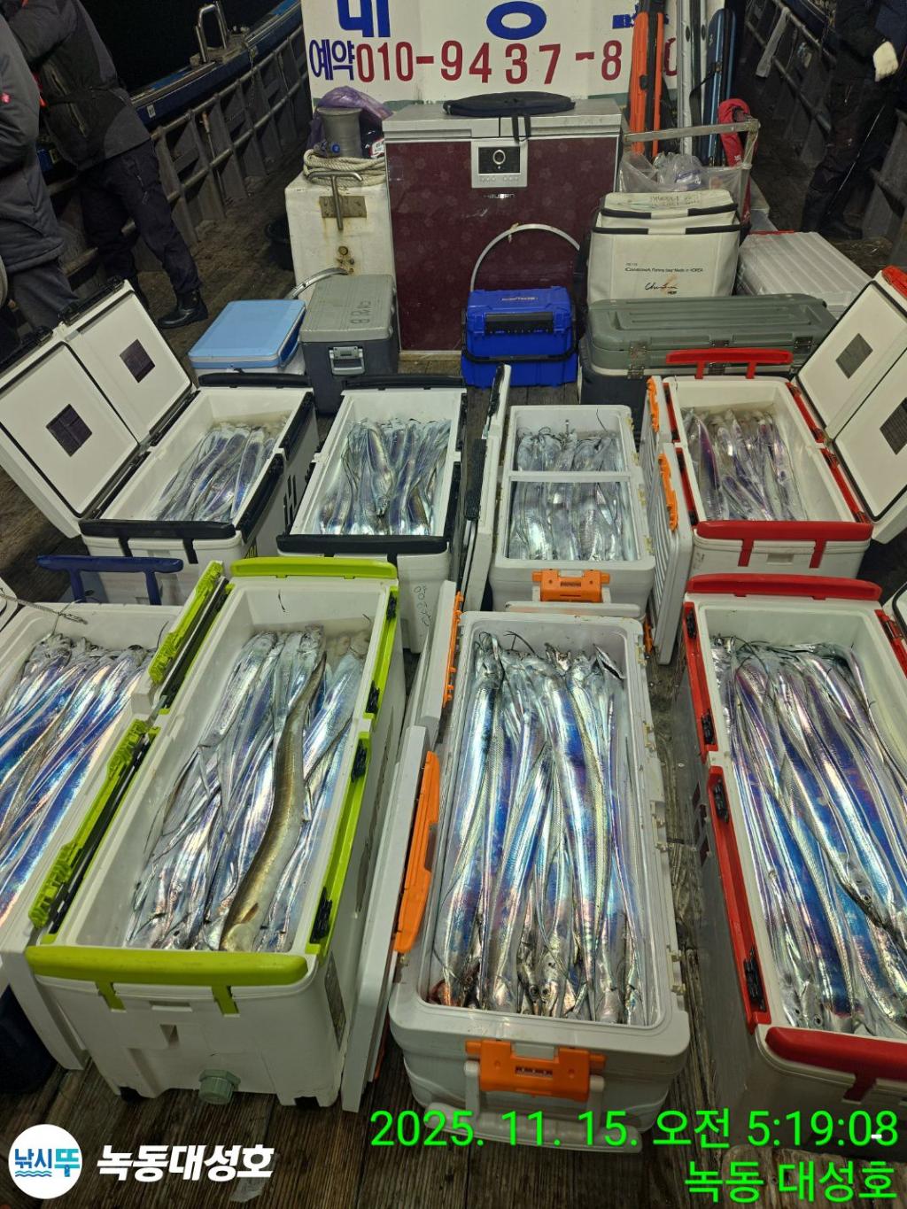 낚시뚜,갈치,녹동항,녹동대성호,낚시뚜0