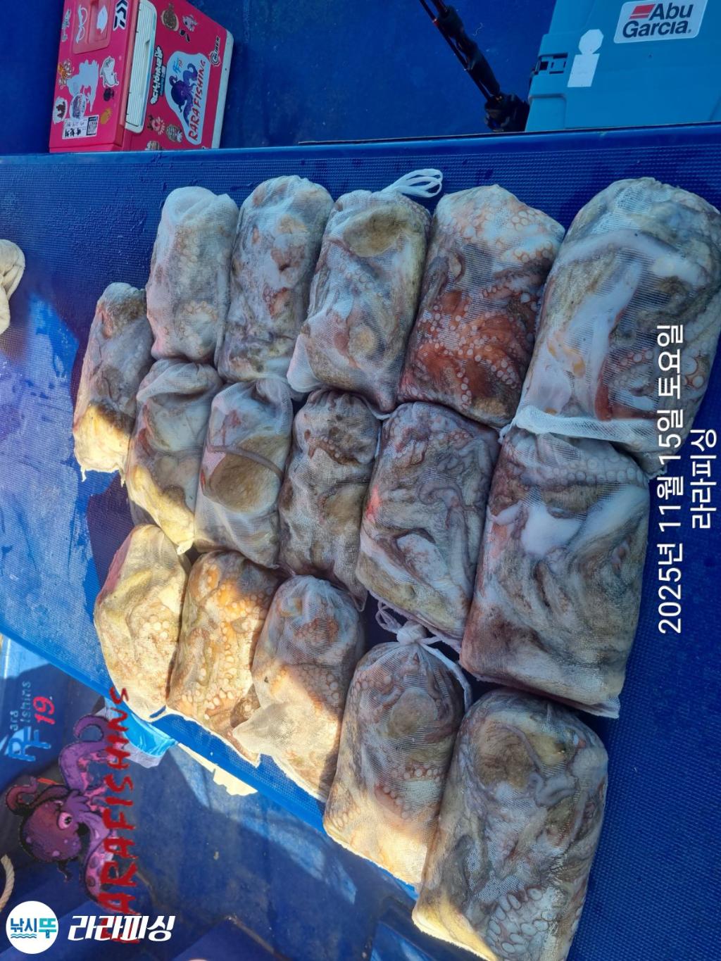 낚시뚜,돌문어,속천항(진해),라라피싱,낚시뚜26