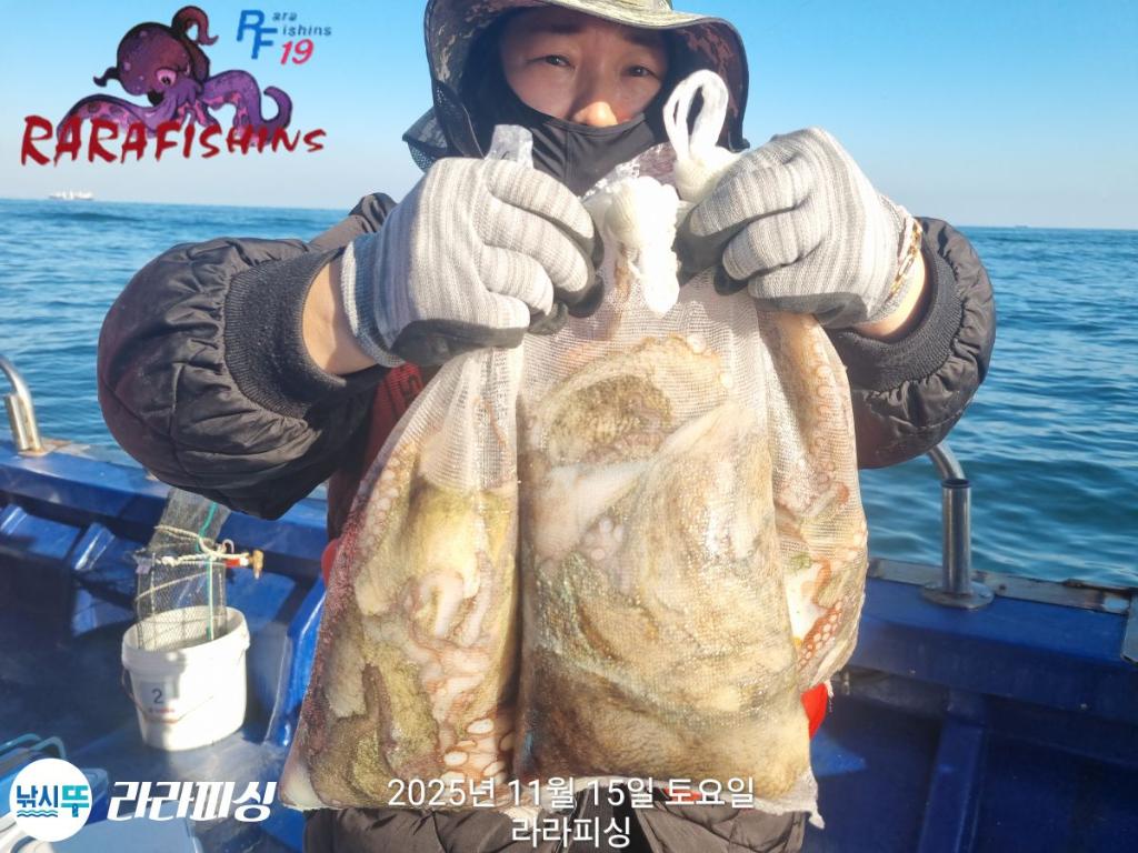 낚시뚜,돌문어,속천항(진해),라라피싱,낚시뚜22