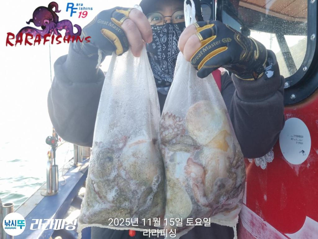 낚시뚜,돌문어,속천항(진해),라라피싱,낚시뚜20