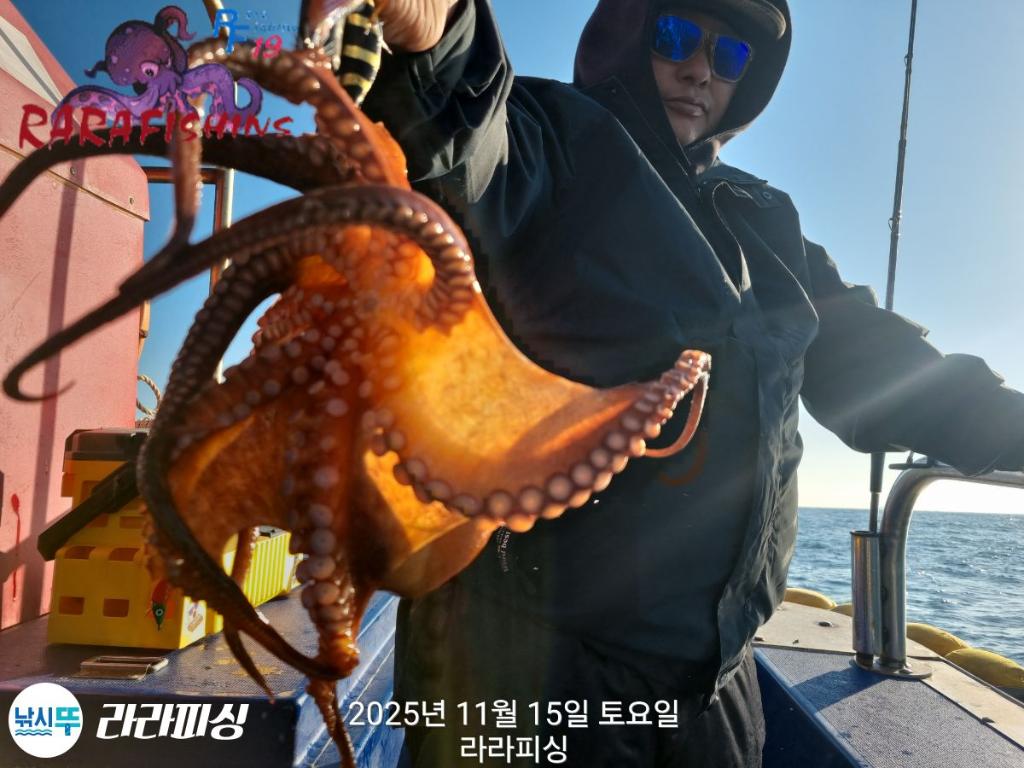 낚시뚜,돌문어,속천항(진해),라라피싱,낚시뚜18