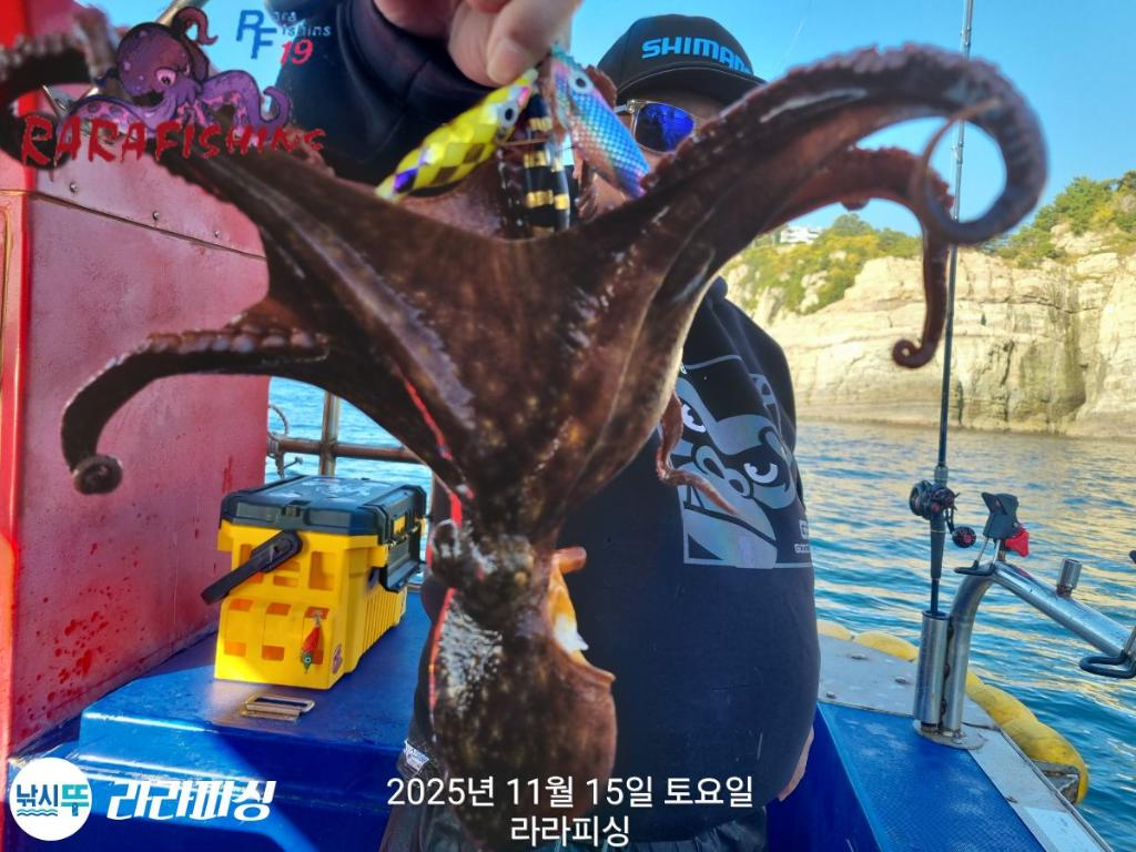 낚시뚜,돌문어,속천항(진해),라라피싱,낚시뚜15