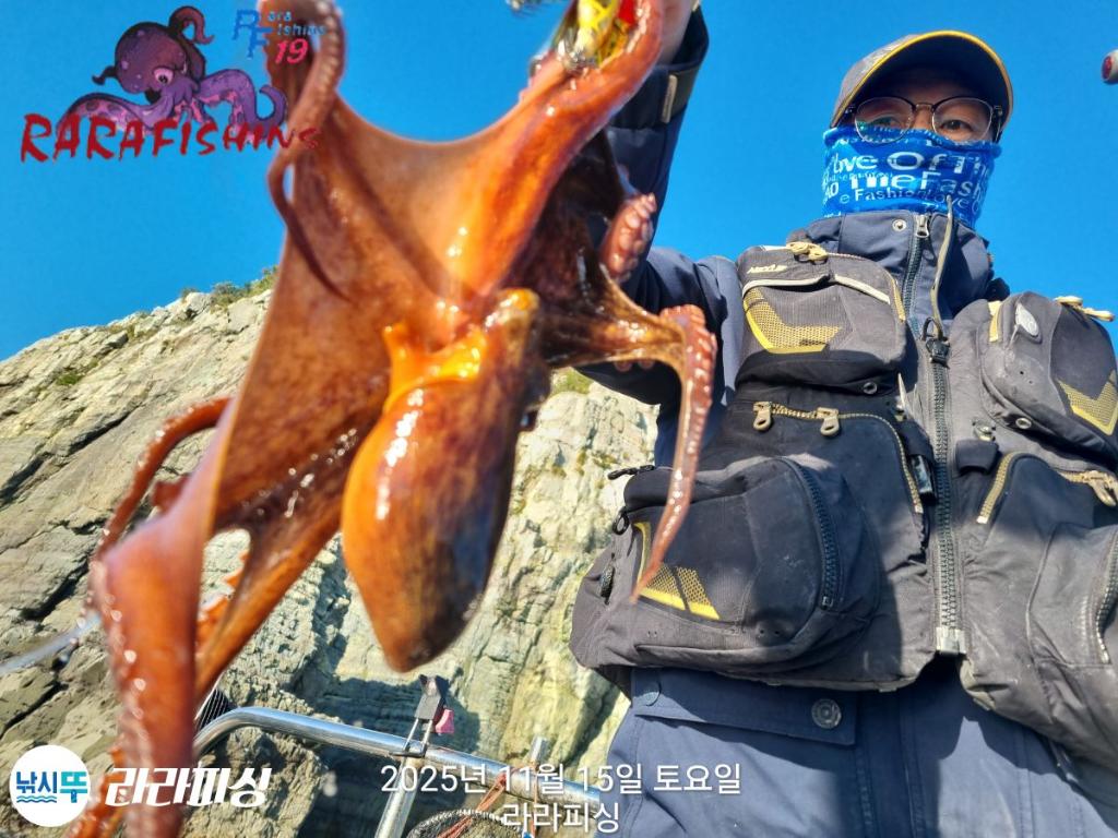 낚시뚜,돌문어,속천항(진해),라라피싱,낚시뚜12