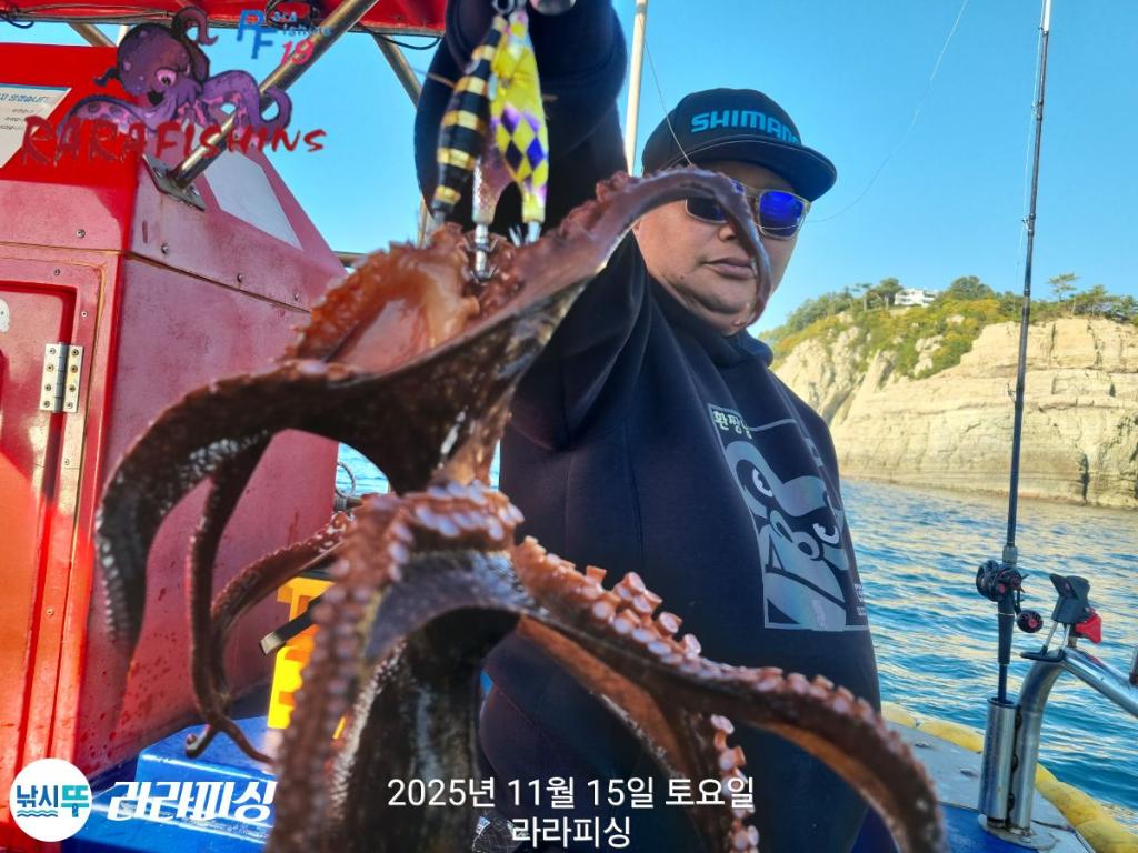 낚시뚜,돌문어,속천항(진해),라라피싱,낚시뚜10