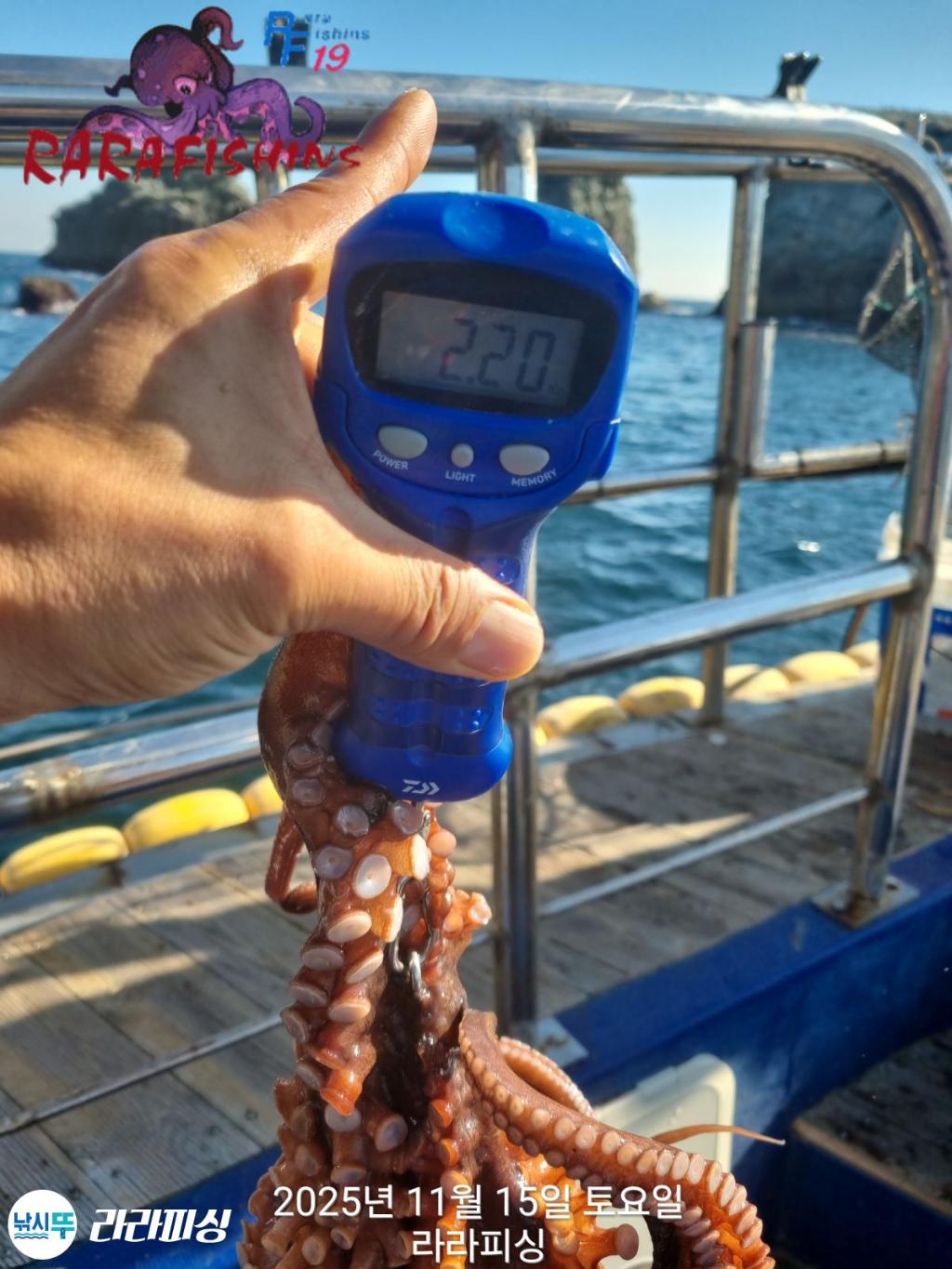 낚시뚜,돌문어,속천항(진해),라라피싱,낚시뚜3