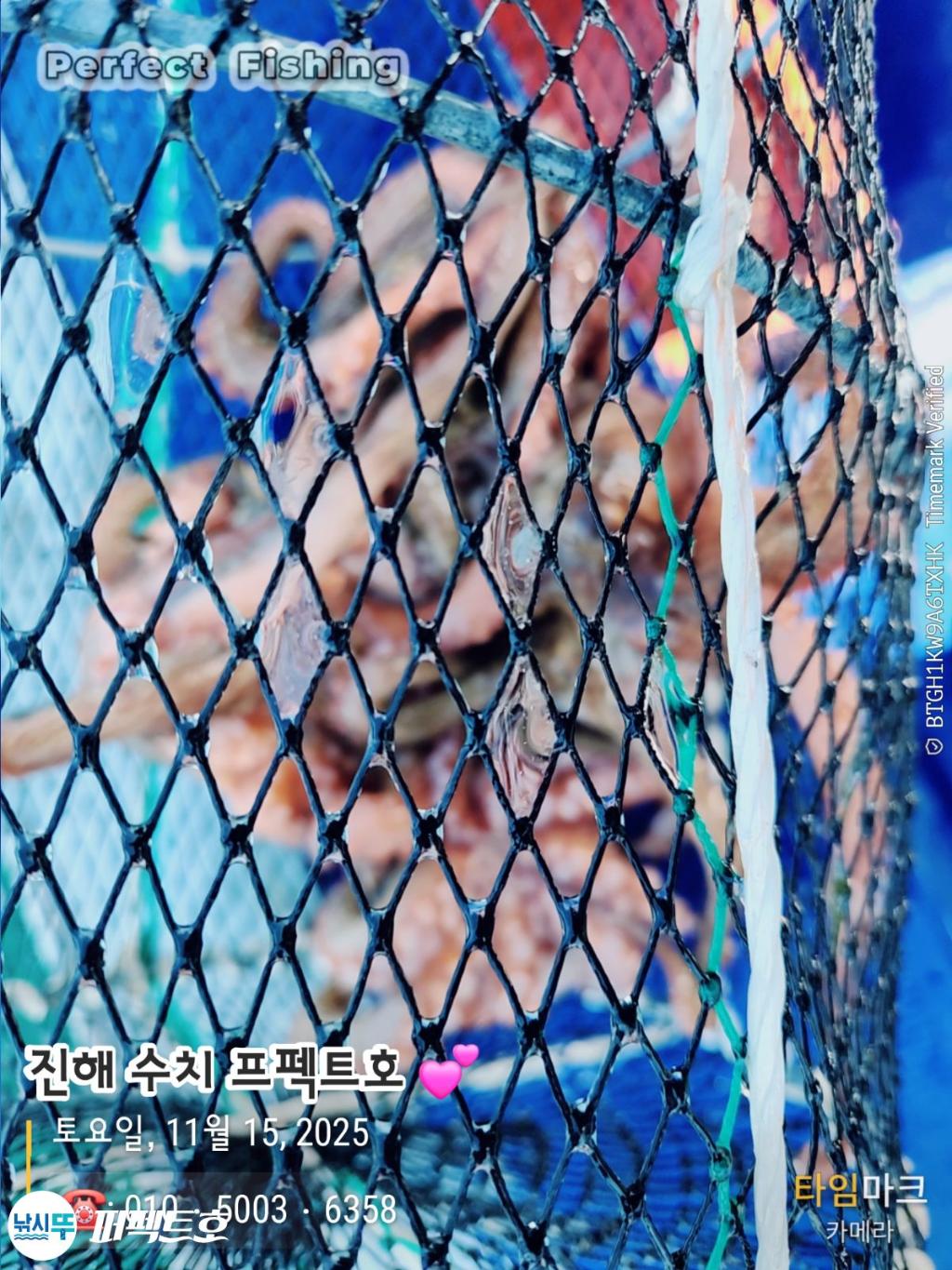 낚시뚜,돌문어,진해 수치마을 방파제,퍼펙트호,낚시뚜15