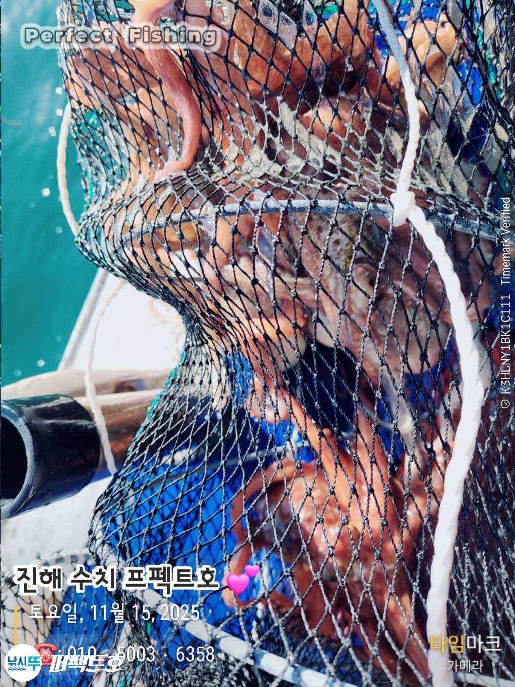 낚시뚜,돌문어,진해 수치마을 방파제,퍼펙트호,낚시뚜12