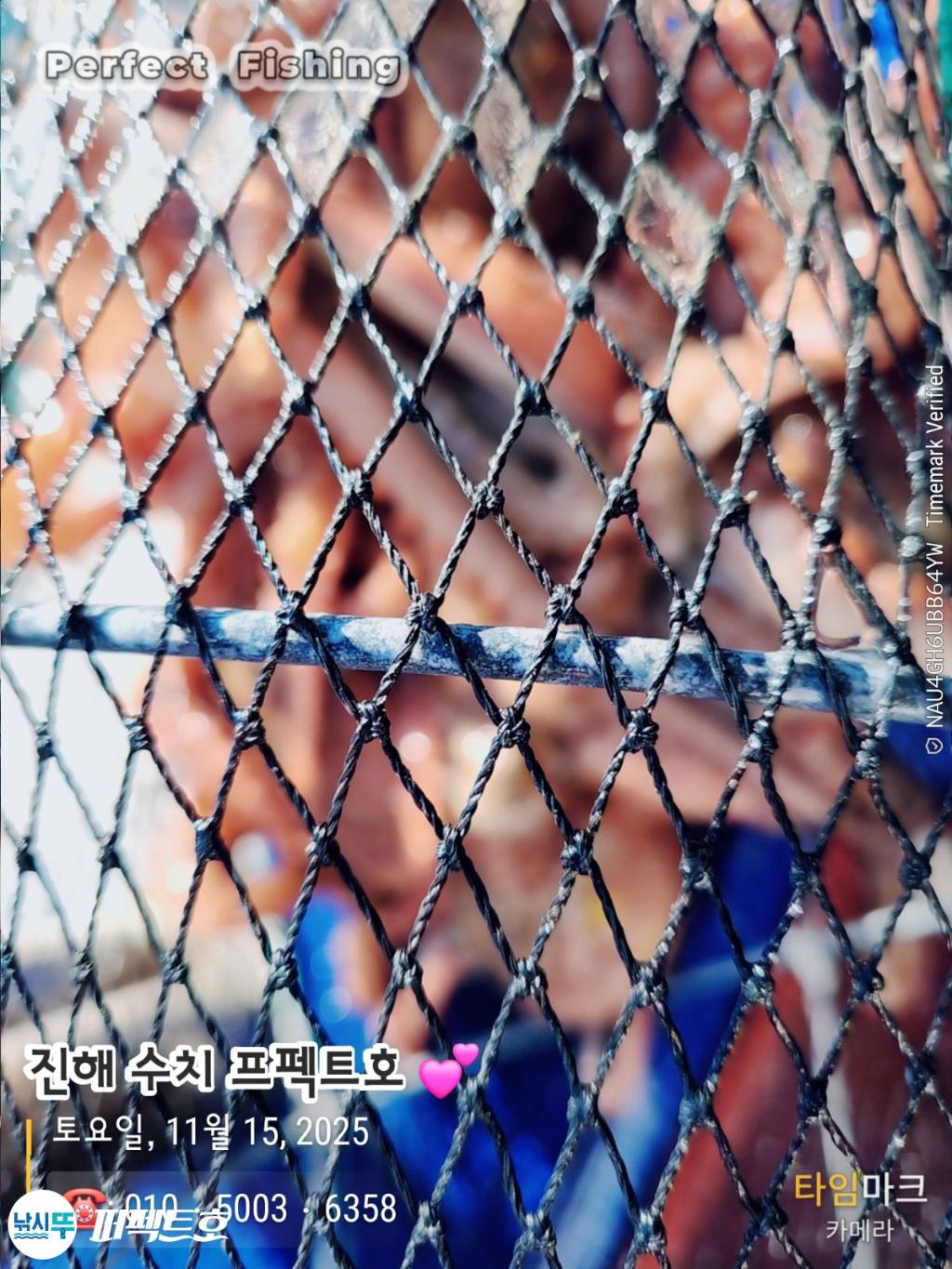 낚시뚜,돌문어,진해 수치마을 방파제,퍼펙트호,낚시뚜11