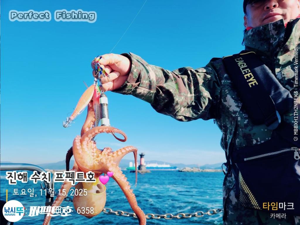 낚시뚜,돌문어,진해 수치마을 방파제,퍼펙트호,낚시뚜2